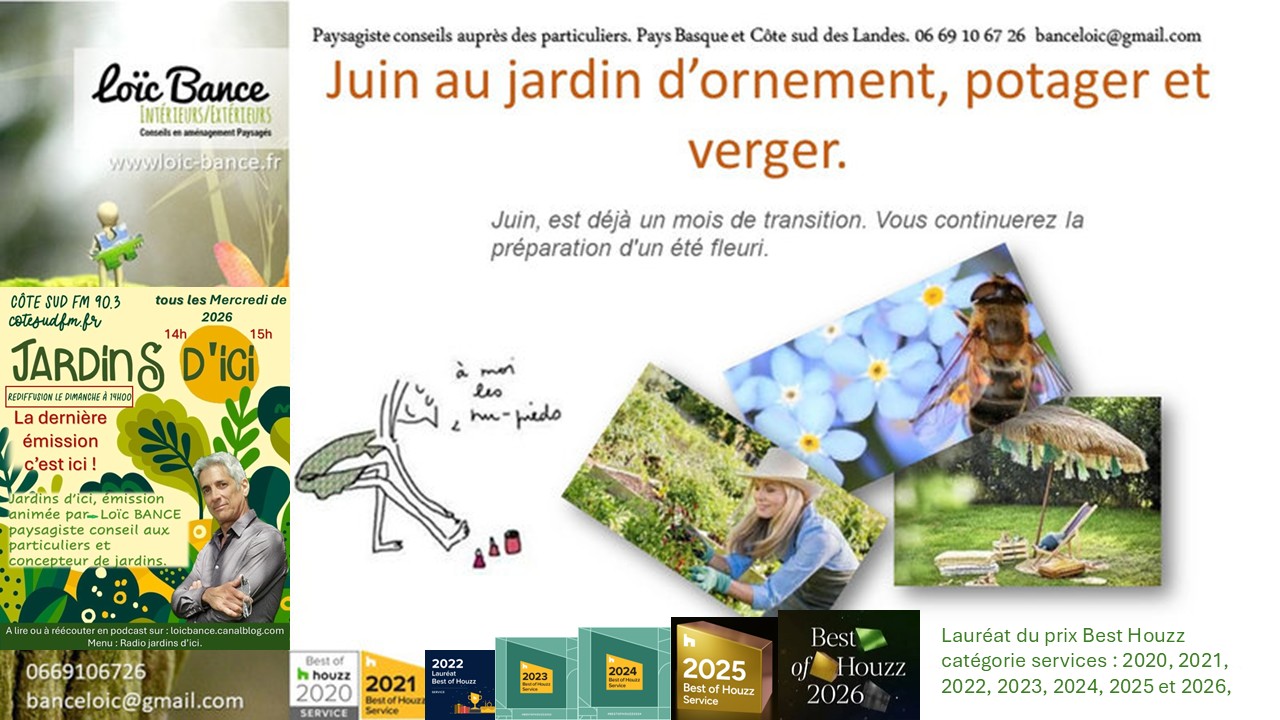 Les travaux de juin 2026 au jardin d'ornement, potager ou fruitier. Paysagiste Arcangues 