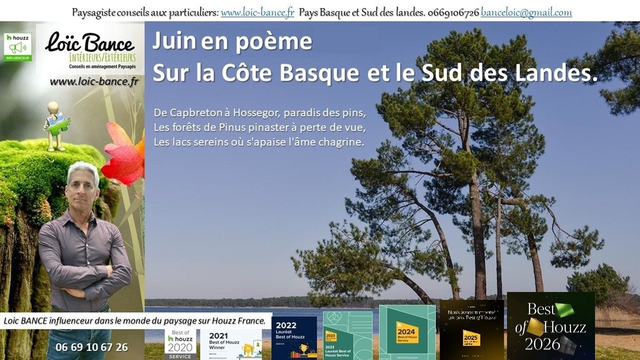 Juin en po�me sur la C�te Basco-Landaise. Paysagiste Arcangues