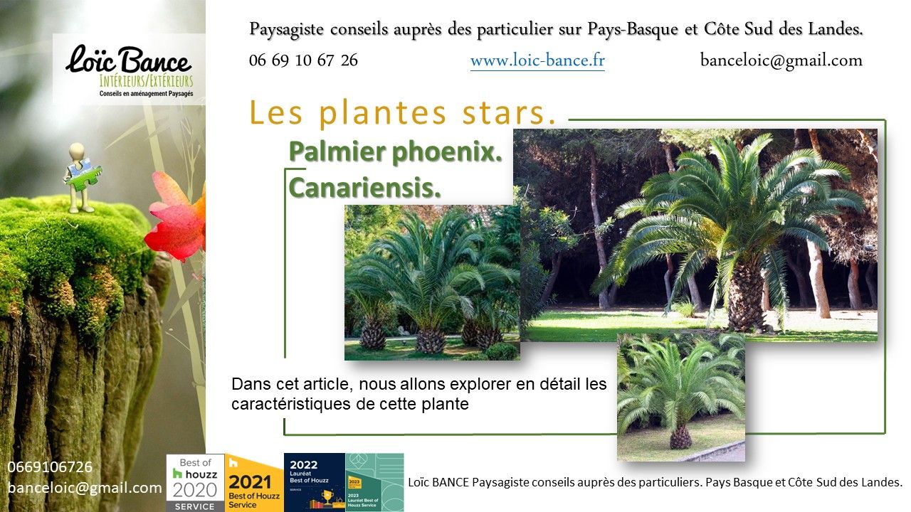 Paysagiste Itxassou; Paysages; Amnagements paysagers; Landes; Paysagiste Landes; Pays Basque; Paysagiste Pays Basque; Concepteur de jardins; Ahetze; Paysagiste Ahetze; Anglet; Paysagiste Anglet; Arbonne; Paysagiste Arbonne; Arcangues; Paysagiste Arcangues; Bayonne; Paysagiste Bayonne; Biarritz; Paysagiste Biarritz; Capbreton; Paysagiste Capbreton; Guthary; Paysagiste Guthary; Hossegor; Paysagiste Hossegor; Saint Jean de Luz; Paysagiste Saint Jean de Luz; Seignosse; Paysagiste Seignosse; 